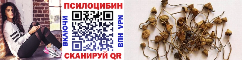 Псилоцибиновые грибы MAGIC MUSHROOMS Спас-Деменск
